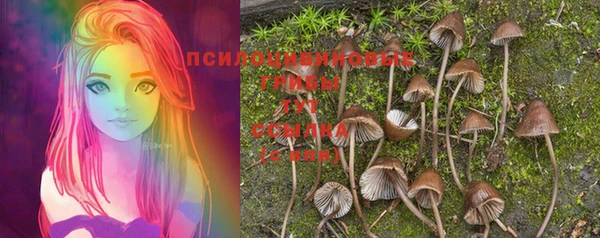 таблы Абинск